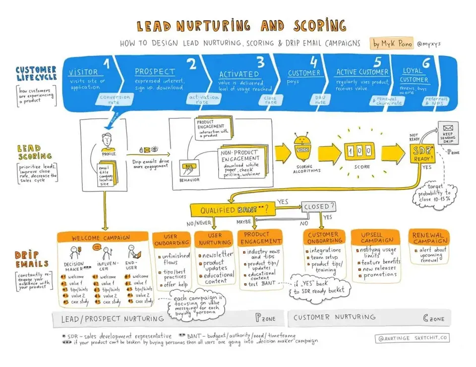 Implement Marketing Automation for Nurturing Leads